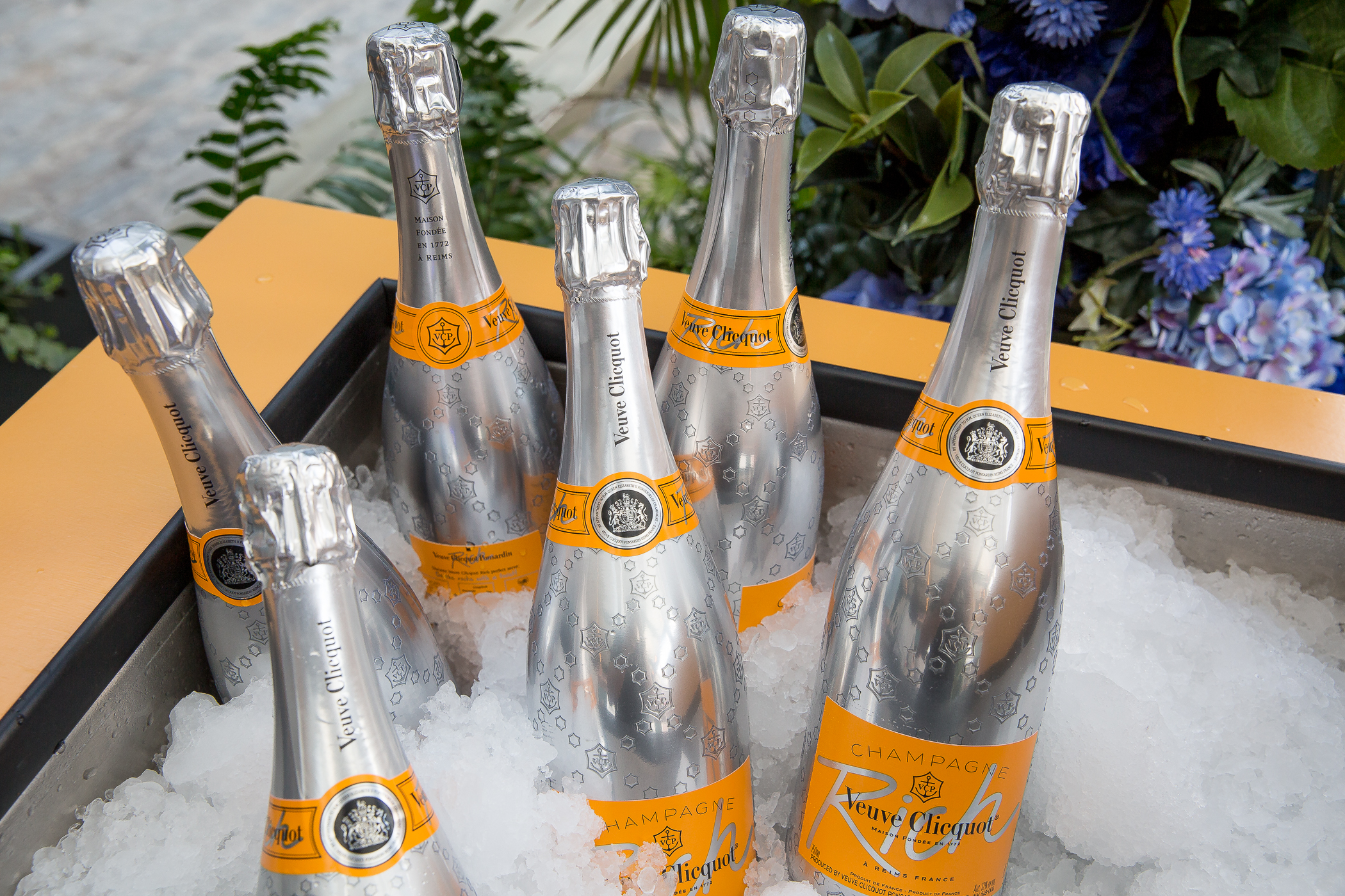 Veuve-7436